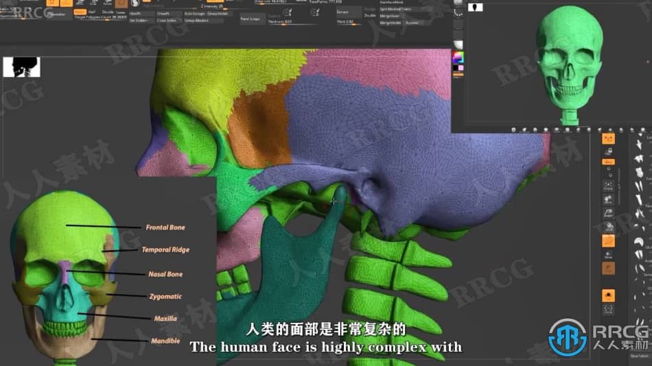【中文字幕】Zbrush脸部面部雕刻建模全面训练视频教程 3D 第3张