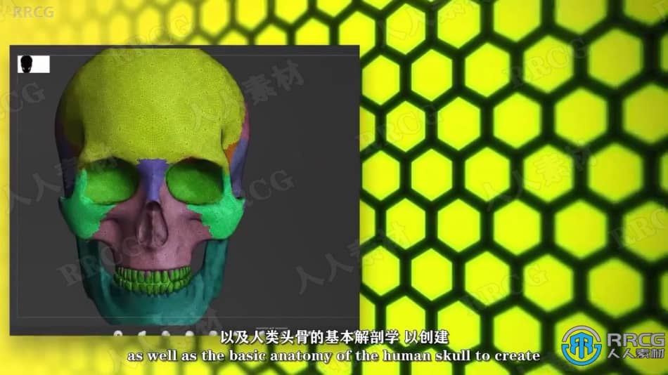 【中文字幕】Zbrush脸部面部雕刻建模全面训练视频教程 3D 第6张