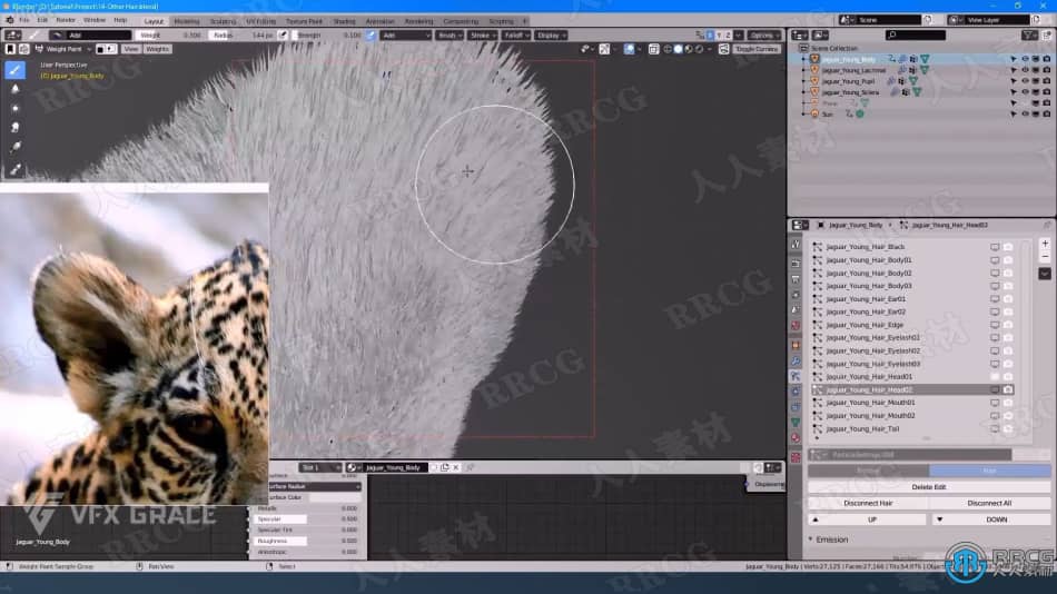 Blender美洲豹动物毛发实例制作视频教程 3D 第7张