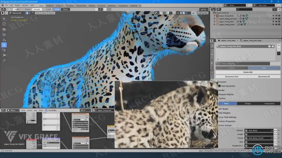 Blender美洲豹动物毛发实例制作视频教程 3D 第9张