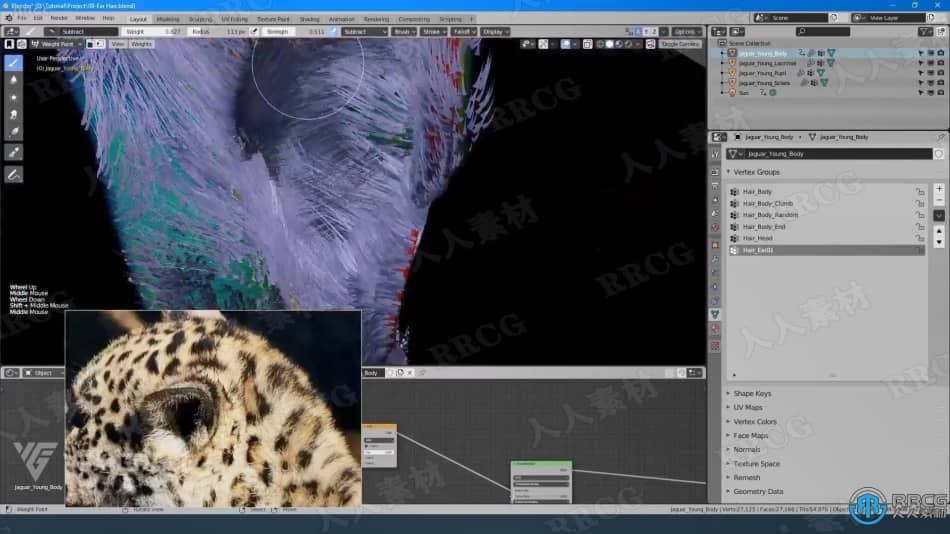 Blender美洲豹动物毛发实例制作视频教程 3D 第10张