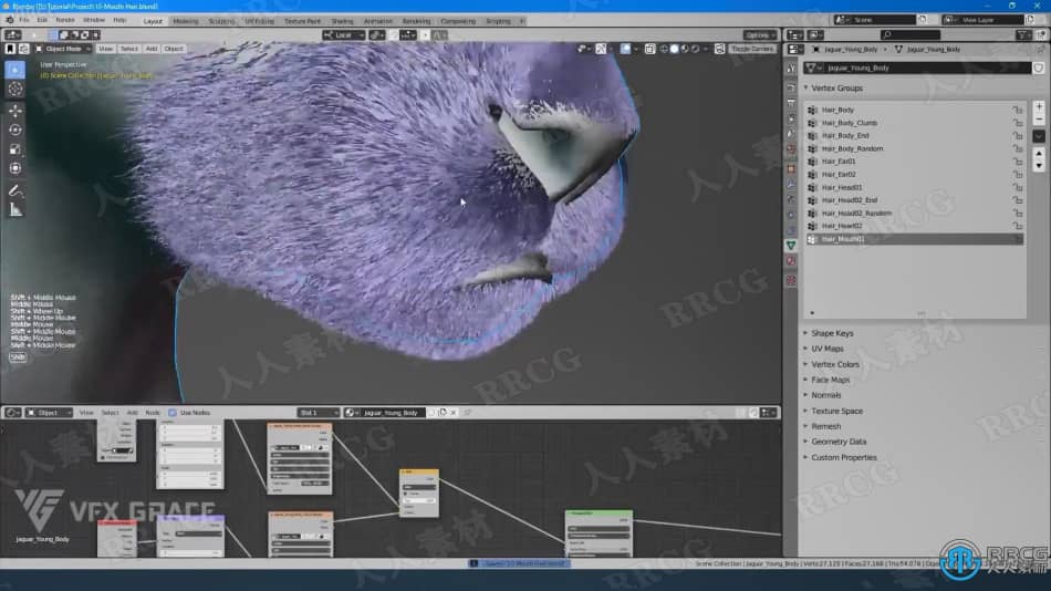 Blender美洲豹动物毛发实例制作视频教程 3D 第11张