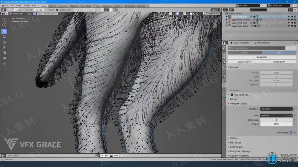 Blender美洲豹动物毛发实例制作视频教程 3D 第14张