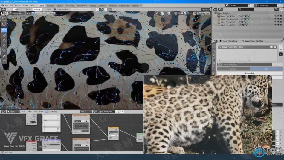 Blender美洲豹动物毛发实例制作视频教程 3D 第15张