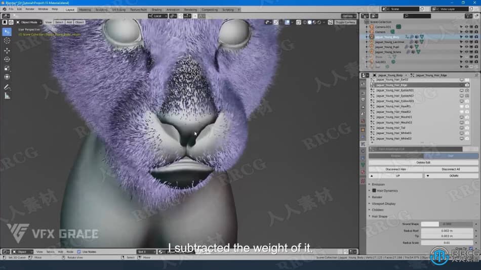 Blender美洲豹动物毛发实例制作视频教程 3D 第2张