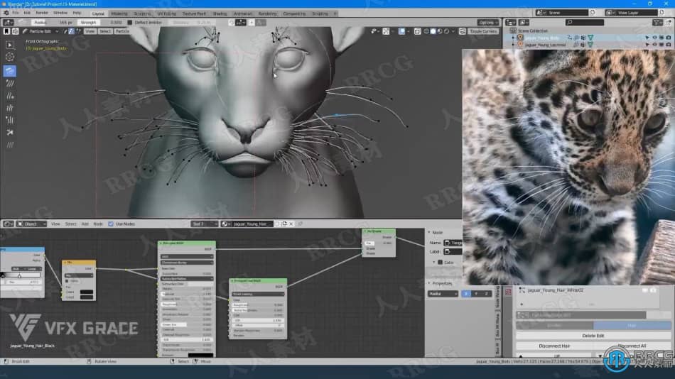 Blender美洲豹动物毛发实例制作视频教程 3D 第4张