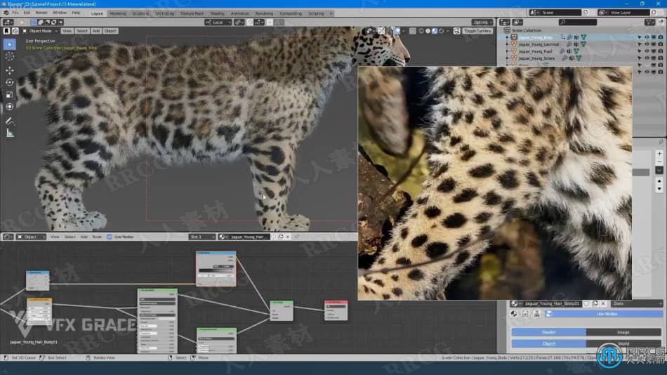 Blender美洲豹动物毛发实例制作视频教程 3D 第5张