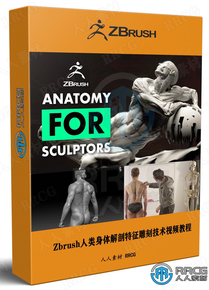Zbrush人类身体解剖特征雕刻技术视频教程 3D 第1张
