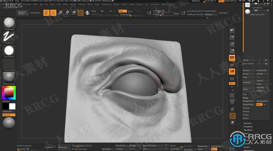 Zbrush面部五官特征雕刻技术训练视频教程 3D 第9张