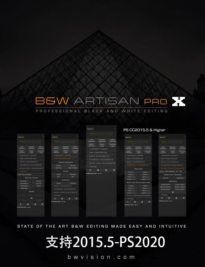 BW Artisan Pro X v1.1汉化版 Joel Tjintjelaar风光黑白明度蒙版扩展 Windows 第1张